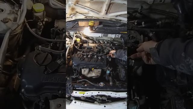 помогите мотор QG18DE aкпп смотреть онлайн