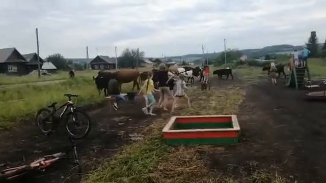 помогите нам с. Сылва детская площадка смотреть онлайн