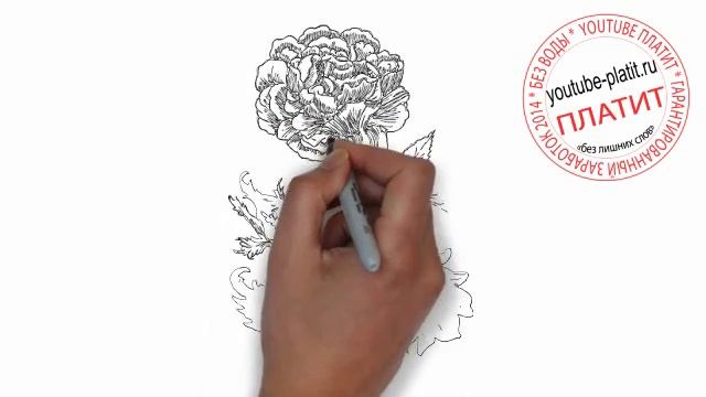 Как нарисовать куст ромашки смотреть онлайн