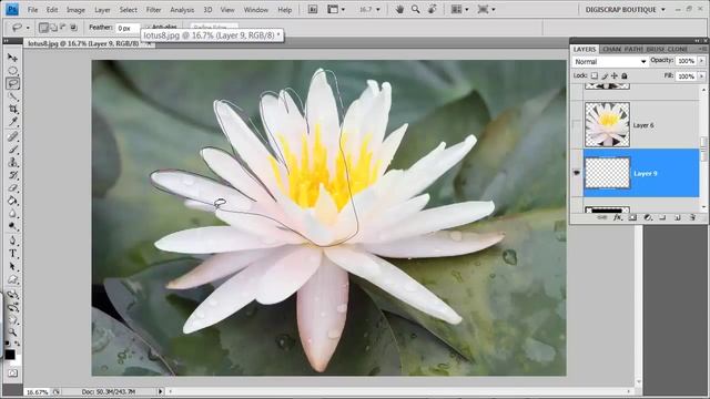 Digital Scrapbooking Tutorial - How To Use Photoshop Selection Tools смотреть онлайн