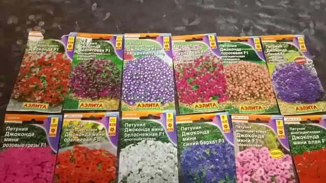 ?Прекрасная ампельная петуния Джоконда.Каскад и мини. смотреть онлайн