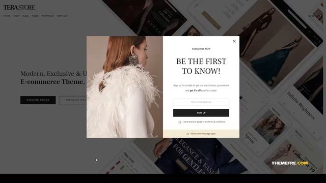 Tera - Modern WooCommerce WordPress Theme shop shopkeeper Mio смотреть онлайн
