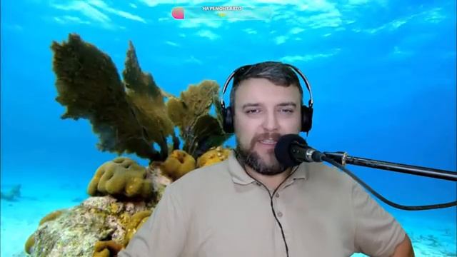 КАРАОКЕ У МОРЯ #песни (08.10.23) смотреть онлайн
