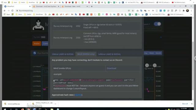 Start Mining FLUX on miniZ in 5 Minutes | Full Guide смотреть онлайн