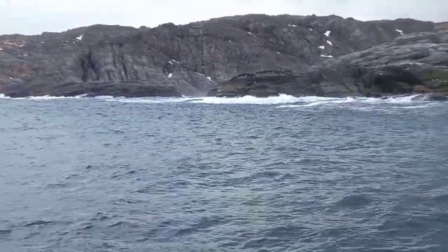 ТЕРИБЕРКА. КОЛЬСКИЙ ПОЛУОСТРОВ. В поисках китов и тюленей. Русский север. часть 6 смотреть онлайн