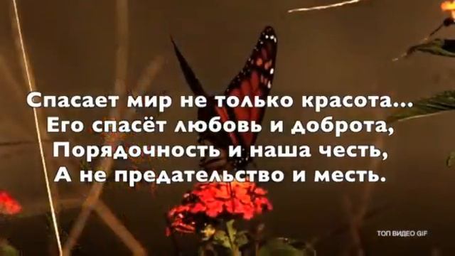 Песня цветов смотреть онлайн