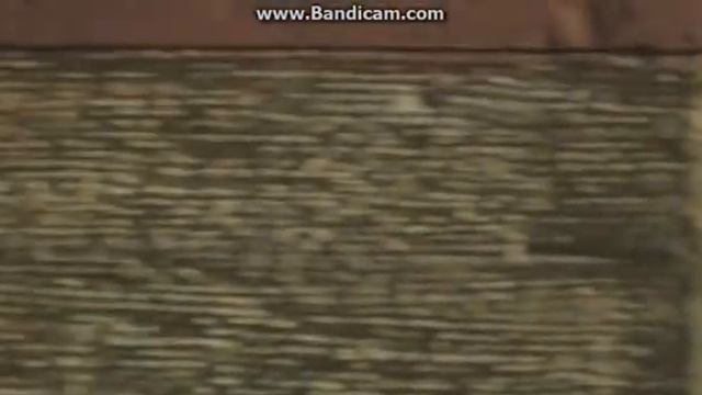 Свадьба Кесем султан и султана Ахмеда смотреть онлайн