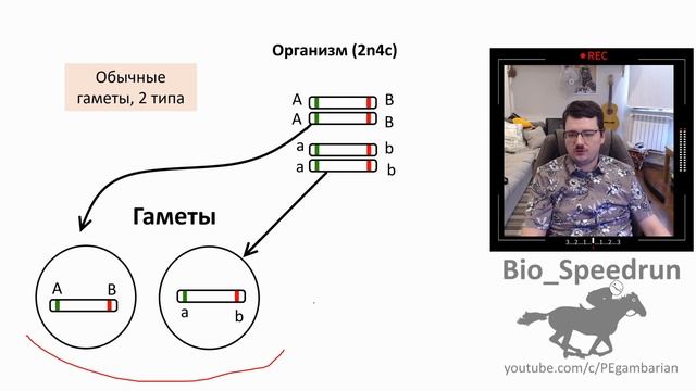 12. Генетика часть III (Speedrun общая биология 9-11 класс, ЕГЭ, ОГЭ 2021) смотреть онлайн