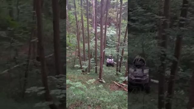 Штурмует старое русло смотреть онлайн