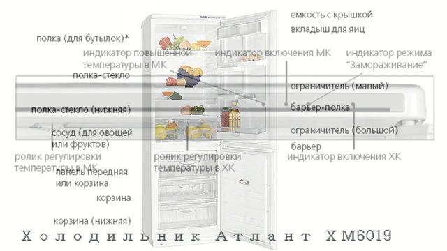 Холодильник АТЛАНТ ХМ 6019