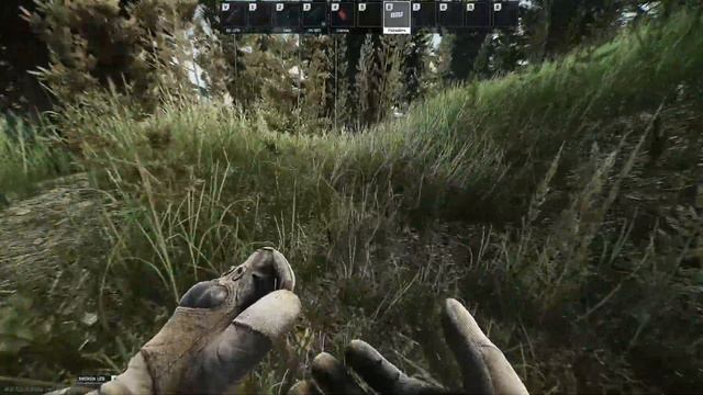 Getting My First SVD смотреть онлайн