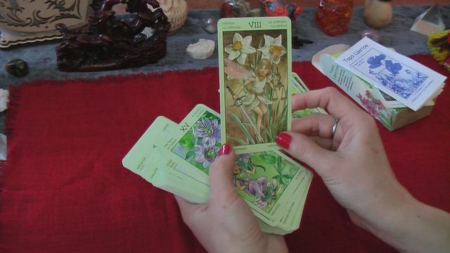 Обзор Таро цветов . Лаура Туан с рисунками Антонеллы Кастелли . смотреть онлайн