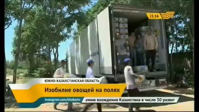 В Южном Казахстане - небывалый урожай овощей смотреть онлайн