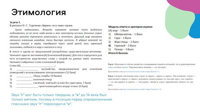 Разбор заданий ШЭ ВсОШ русскому языку 5-6 класс