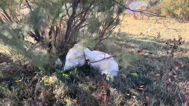 Бушма: рыбацкая Мекка или областная свалка? смотреть онлайн