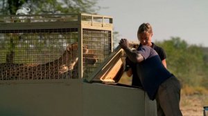 Удивительный мир животных 3 серия