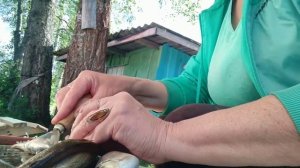 Как быстро почистить мелкую речную рыбу