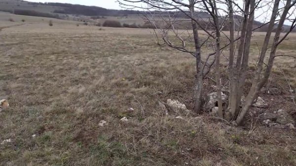 На плато Орта-Сырт.Партизанский аэродром.