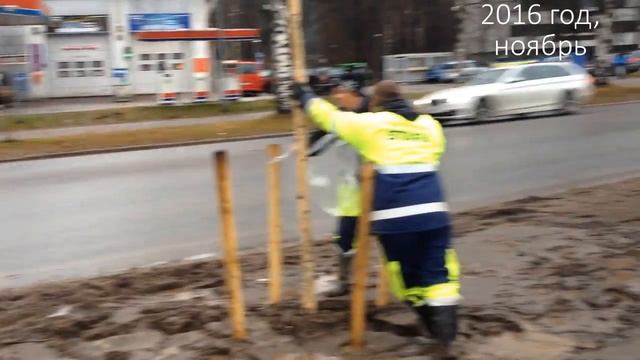 Секрет. Мода берёз. Интересные факты. В Финляндии. смотреть онлайн
