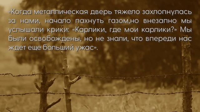 Семья Овиц/Лилипуты пережившие лагерь смерти смотреть онлайн