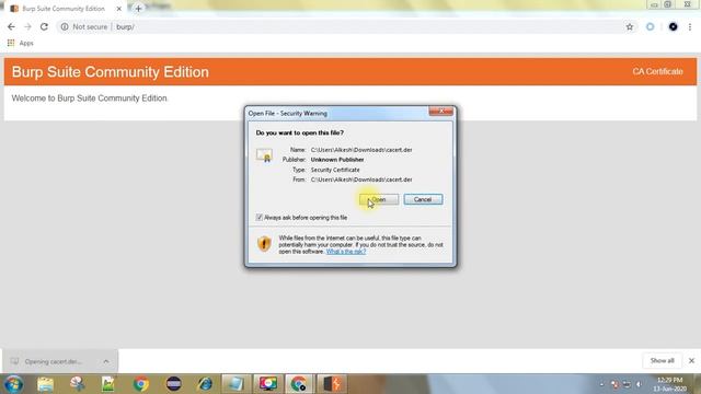 How to intercept chrome browser request using burp suite смотреть онлайн
