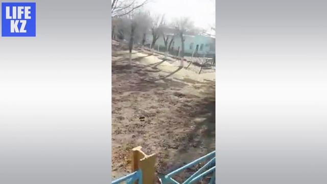 Что происходит в Кульсары? смотреть онлайн