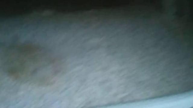 Honda Accord 2006 CM5 VTIL Manual #jualbelimobilbekas #belimobil #istiqomahmobilmalang смотреть онлайн