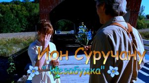 Ион Суручану – Незабудка.mp4