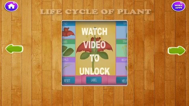 Science Kids Learning Games смотреть онлайн