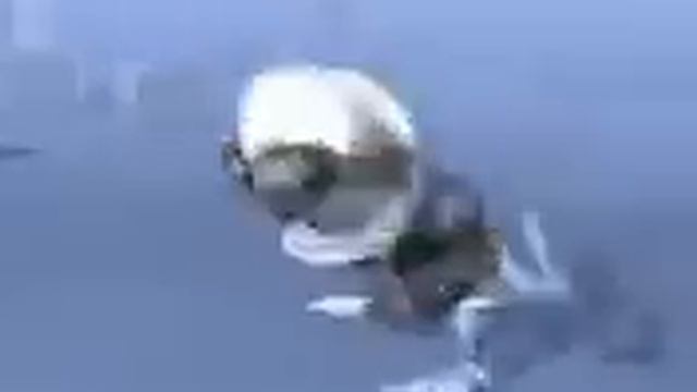 Video Ringtone - Crazy Frog смотреть онлайн