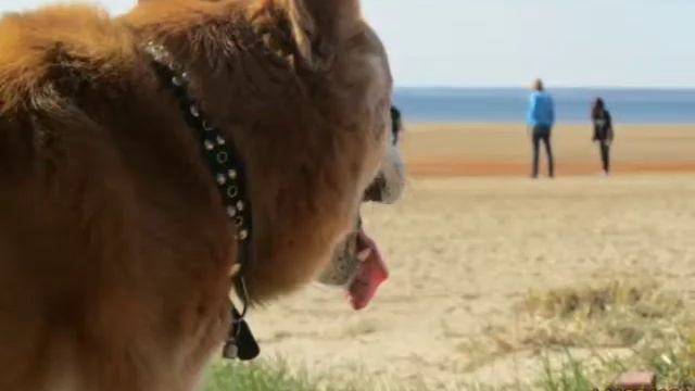 Немного про Лаврика смотреть онлайн