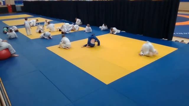 тренировка младшей группы дзюдо (02.02.21) 19:45 смотреть онлайн