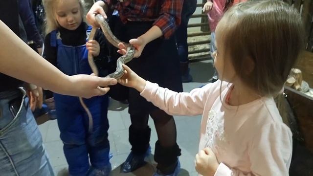 Детский Контактный Зоопарк ? Разные Дикие Животные Классная Носуха