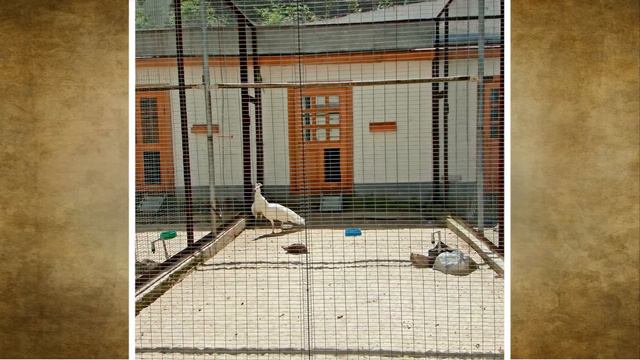 Святогорская Лавра смотреть онлайн