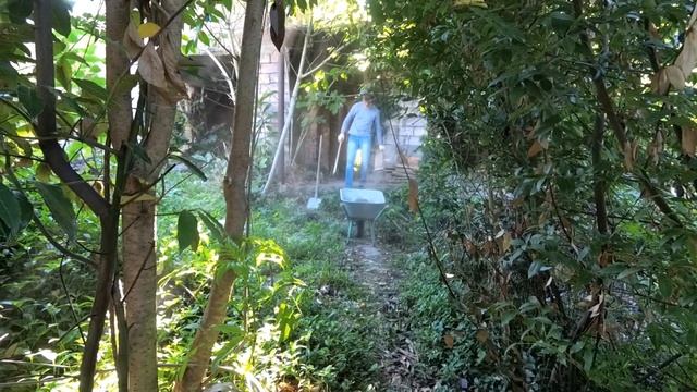 Заливаем стену.08.06.2021.Абхазия.Сухум. смотреть онлайн