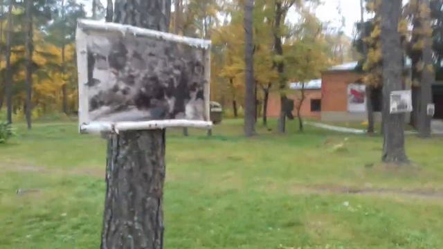 Поездка на партизанскую поляну Брянск город воинской славы часть 1 смотреть онлайн