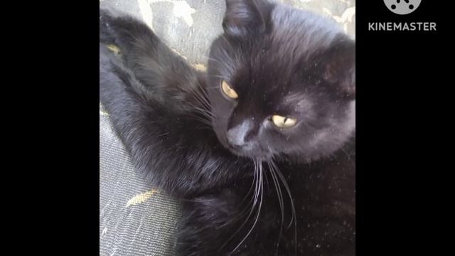 Да хрен знает что там будет смотреть онлайн