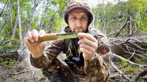 БЕШЕНЫЙ КЛЕВ НА ОЗЕРЕ. НАБРАЛ ПЕРВЫХ ГРИБОВ.