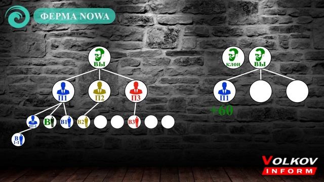 #NOWA БИЗНЕС ИГРА - КТО ТАКИЕ ВОЛОНТЕРЫ И КАК ОНИ РАБОТАЮТ смотреть онлайн