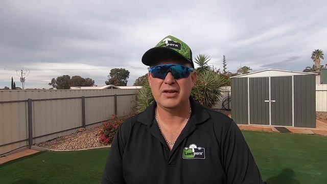 Mowing Lawn In Winter. The 1/4 Rule