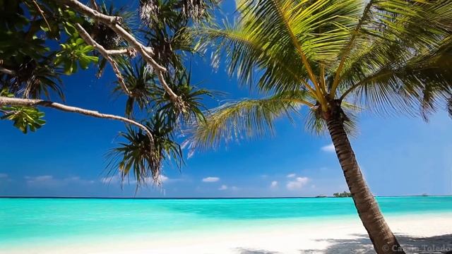 Calming Music - HD Beach Relaxation смотреть онлайн