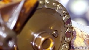 Диагностика растяжения цепи Евро 4 на двигателе ЗМЗ 409