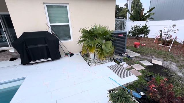 Флорида 🌴Свободу попугаям🔴Рисовала на заборе😆но не то о чем вы подумали 😂