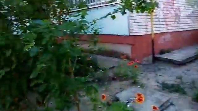 Стриж с поломаным крылом. смотреть онлайн
