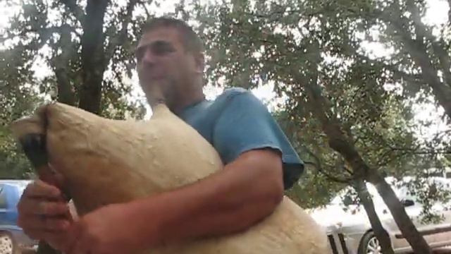 rumen gaidaria2 смотреть онлайн