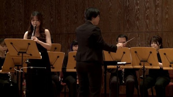 Pablo Sarasate: Carmen Fantasy for Solo Clarinet and Clarinet Choir