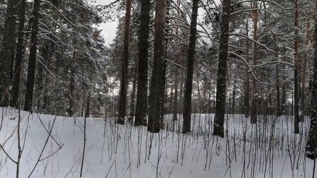 Сборник страшных рассказов - Страшные истории на ночь. Пять годных страшилок на ночь. смотреть онлайн