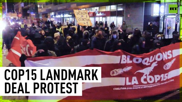 Activists rally in Montreal denouncing 'insufficient' COP15 biodiversity deal