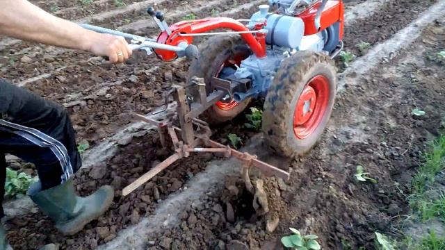 видео 2014 культивация междурядья картофеля смотреть онлайн