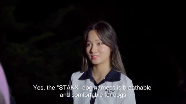 STAKX DOG HARNESS WITH LEASH смотреть онлайн